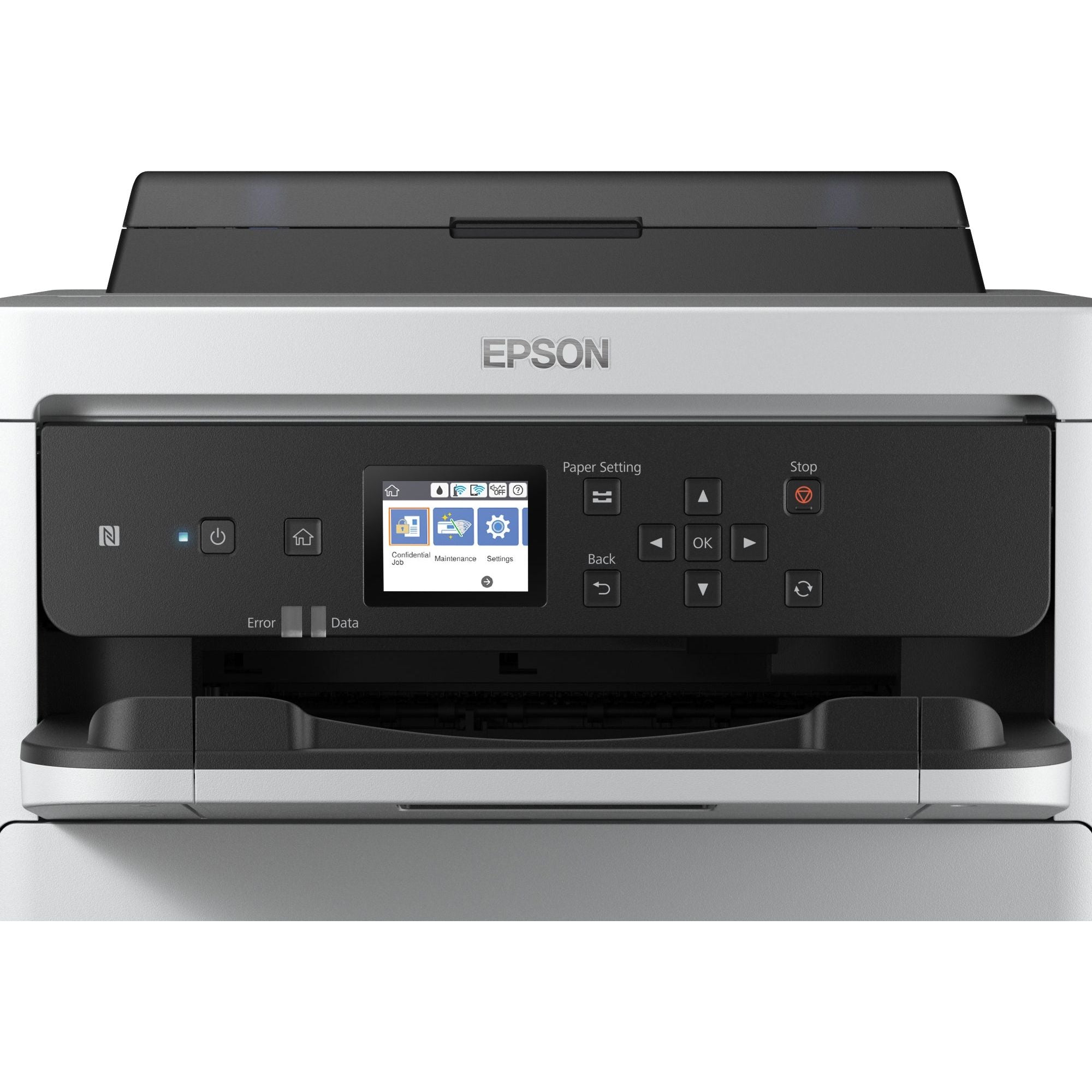 Epson Ink Cart. C13T01D300 rautt